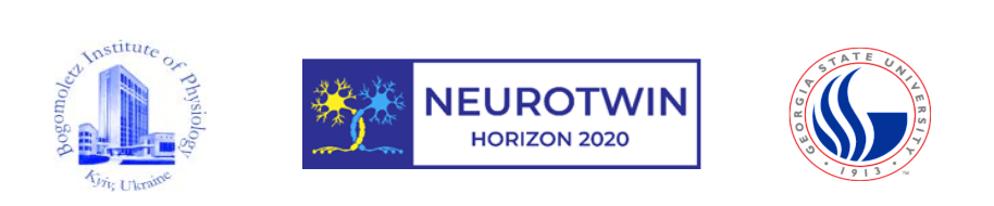 Summer School Organizations Banner